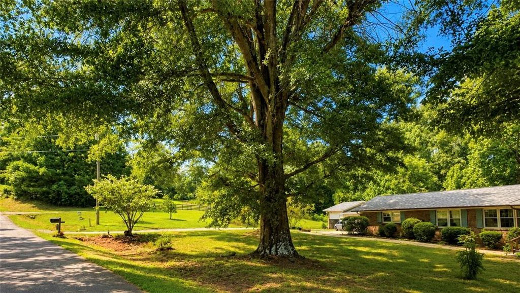 3931 Green Drive