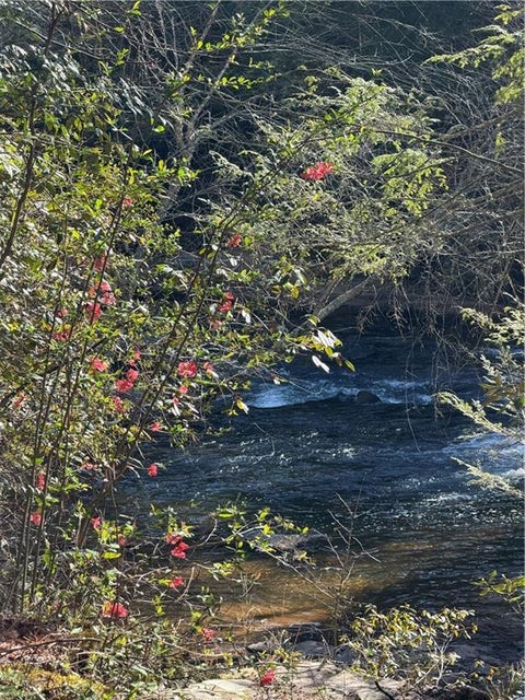 Vacant Land For Sale - Frogtown Place<br/> Lumpkin County, Dahlonega, GA 30533
