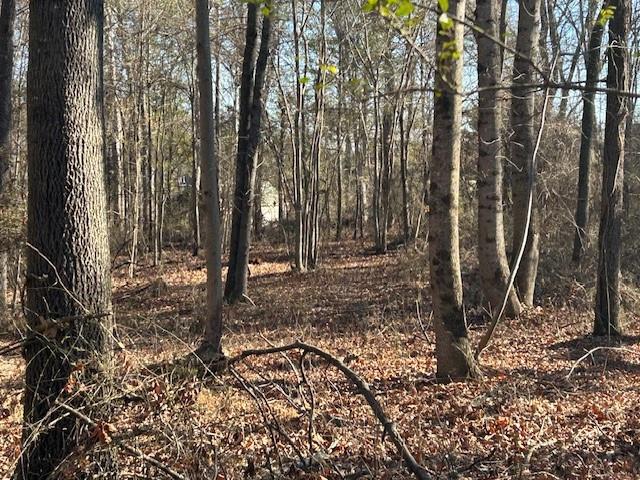 4660 Atlanta Highway