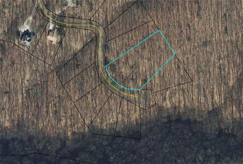Vacant Land For Sale - 4528 Sassafras Mountain Trail<br/> Jasper, GA 30143