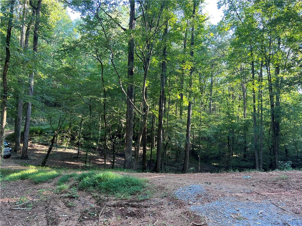 2691 Old Burnt Mountain Road