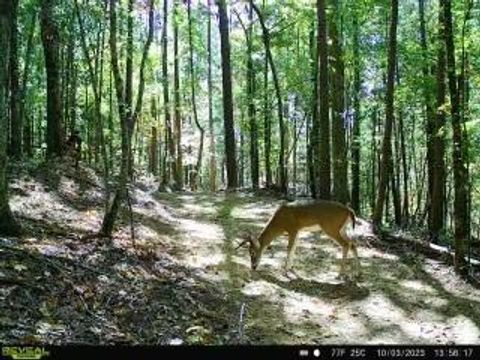 2691 Old Burnt Mountain Road Jasper GA 30143