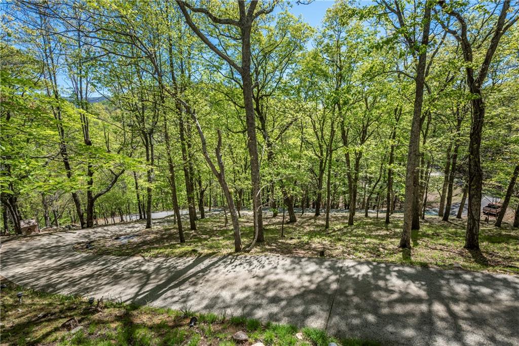 841 Alpine Drive, Jasper, Georgia image 35