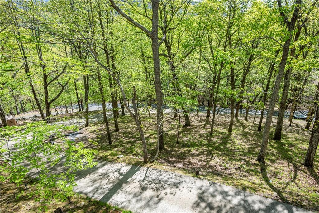 841 Alpine Drive, Jasper, Georgia image 48