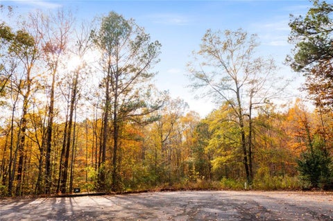 Vacant Land For Sale - 299 River Place Drive<br/> Calhoun, GA 30701