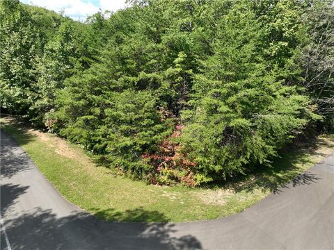 Vacant Land For Sale - 123 Edinborough Court<br/> Ellijay, GA 30536