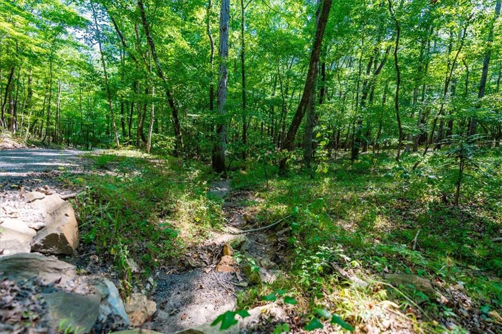 000 Overlook Trail, Acworth, Georgia image 8