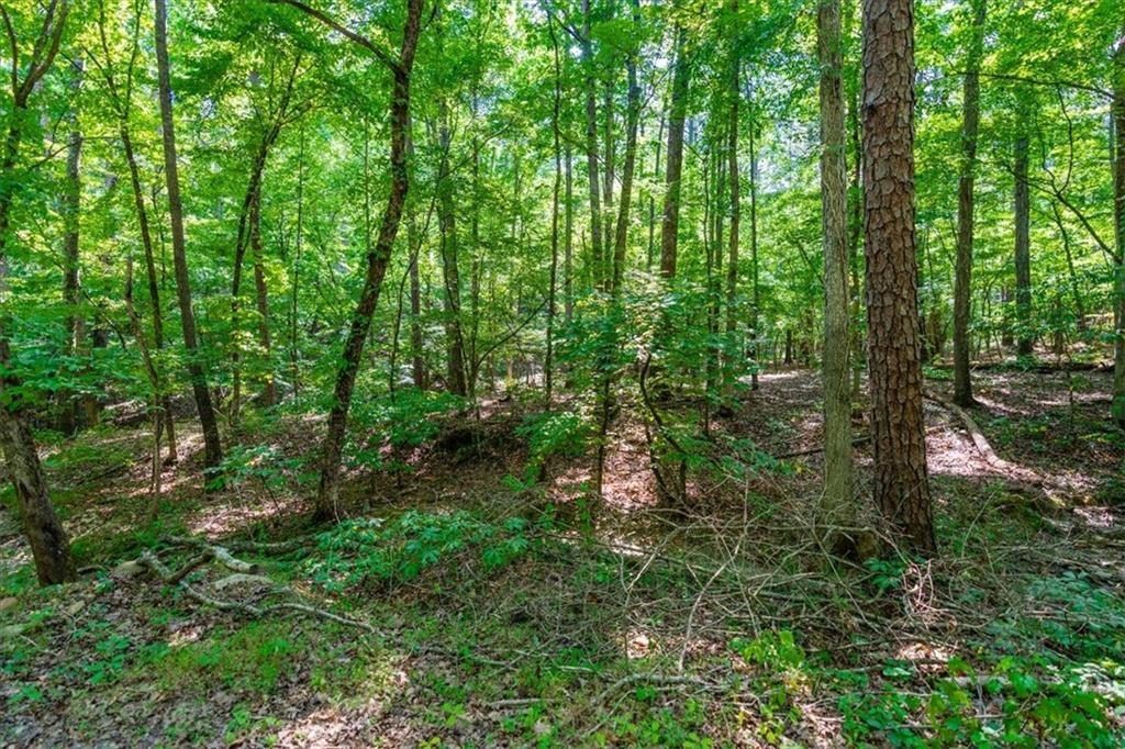 000 Overlook Trail, Acworth, Georgia image 6