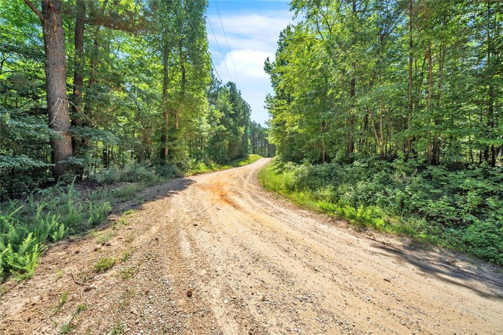 Rainey Lake Road, Buchanan, Georgia image 15