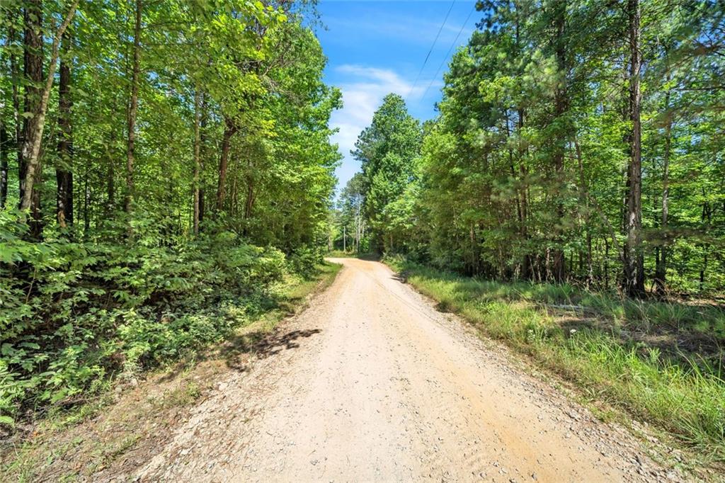 Rainey Lake Road, Buchanan, Georgia image 16