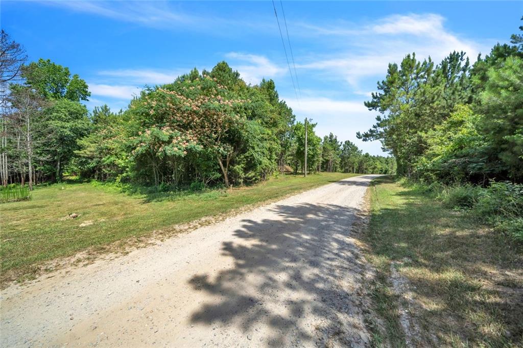 Rainey Lake Road, Buchanan, Georgia image 18