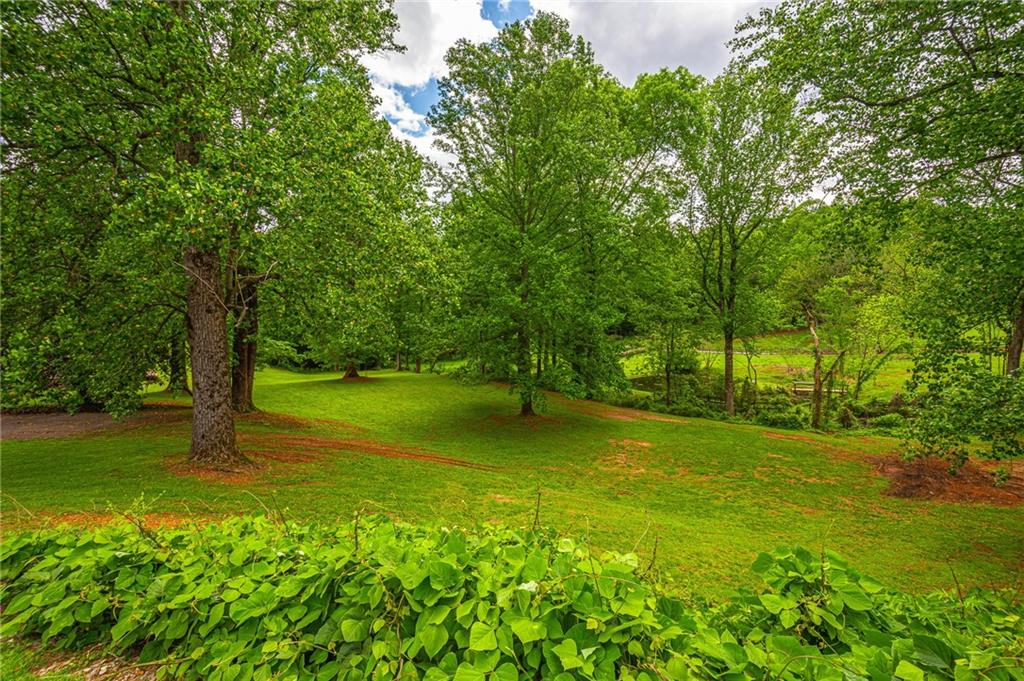 165 Porter Springs Road, Dahlonega, Georgia image 12