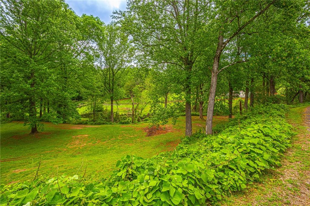 165 Porter Springs Road, Dahlonega, Georgia image 14