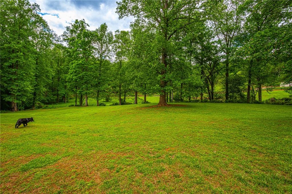 165 Porter Springs Road, Dahlonega, Georgia image 28