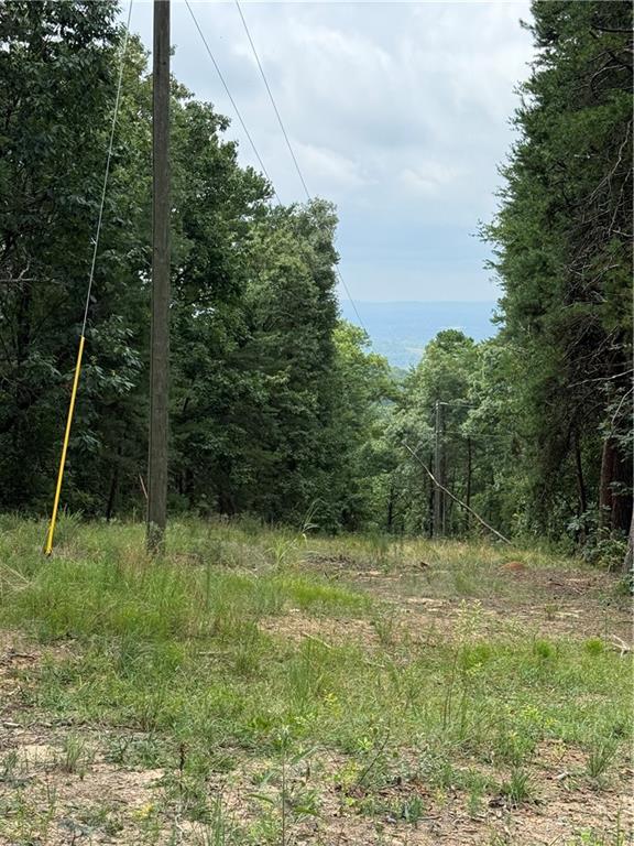 Looking for that Mountain Lot with a view? Well, look no more!! Come roam these lots, See the wildlife that abounds on this mountain, pick out your home site, and look out across the Coosa Valley from your future home. Lake Weiss is just minutes down the road as well as several other small lakes. Hiking and Biking is all around this mountain. All three lots border Berry College WMA so no one can build behind you. 10 Minutes from Historic Downtown Rome with lots of shopping, Dinning, and recreation.
These lots have a well on lot 11 and Perc Test on Lot 9. Ready for you to start building. Better views with some clearing. All three lots have driveway Entrance.