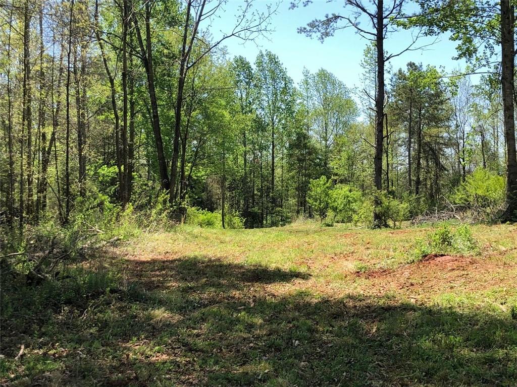 885 Christmas Tree Road, Homer, Georgia image 18