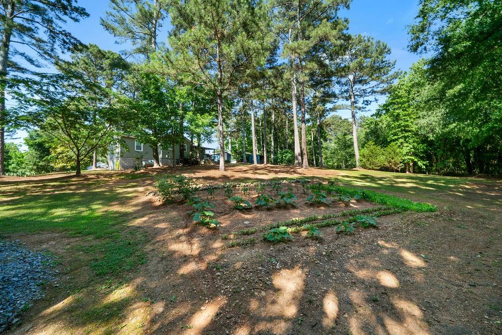 225 Hardin Road, Plainville, Georgia image 26