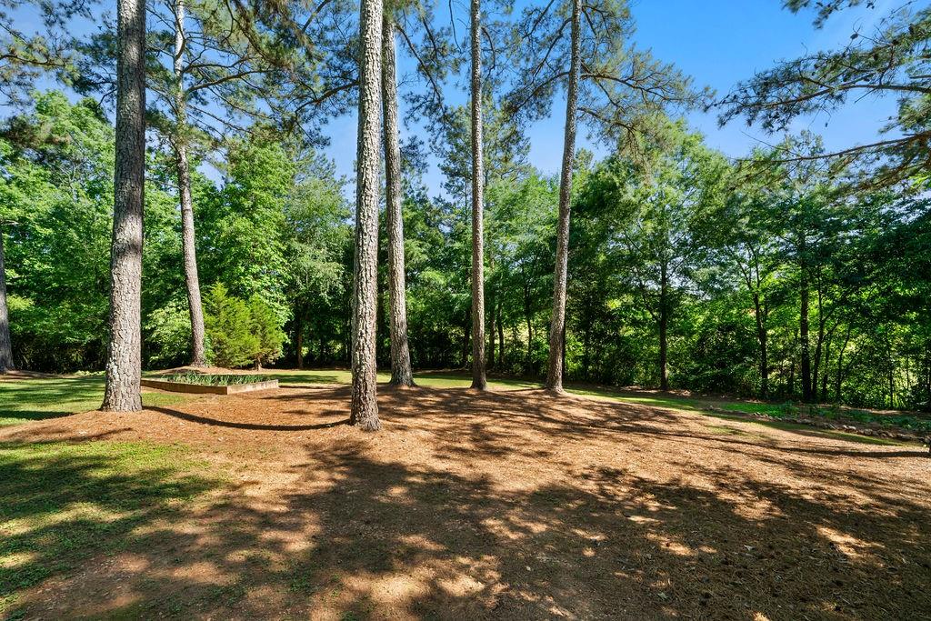 225 Hardin Road, Plainville, Georgia image 24