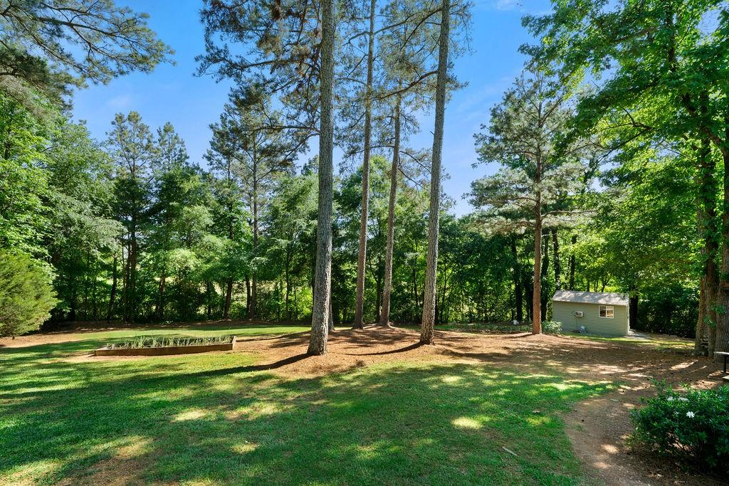 225 Hardin Road, Plainville, Georgia image 4
