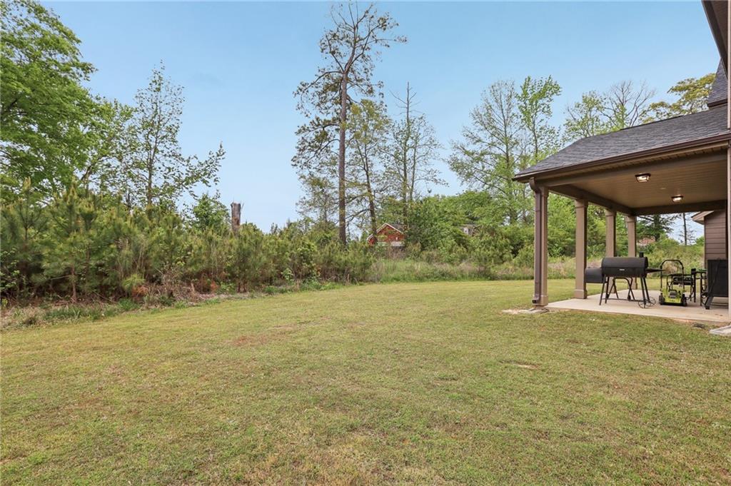 811 Holly Mist Court, Loganville, Georgia image 38