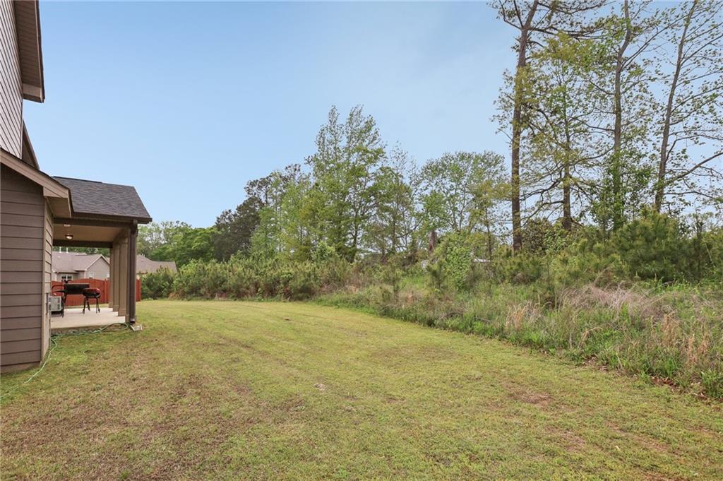 811 Holly Mist Court, Loganville, Georgia image 41