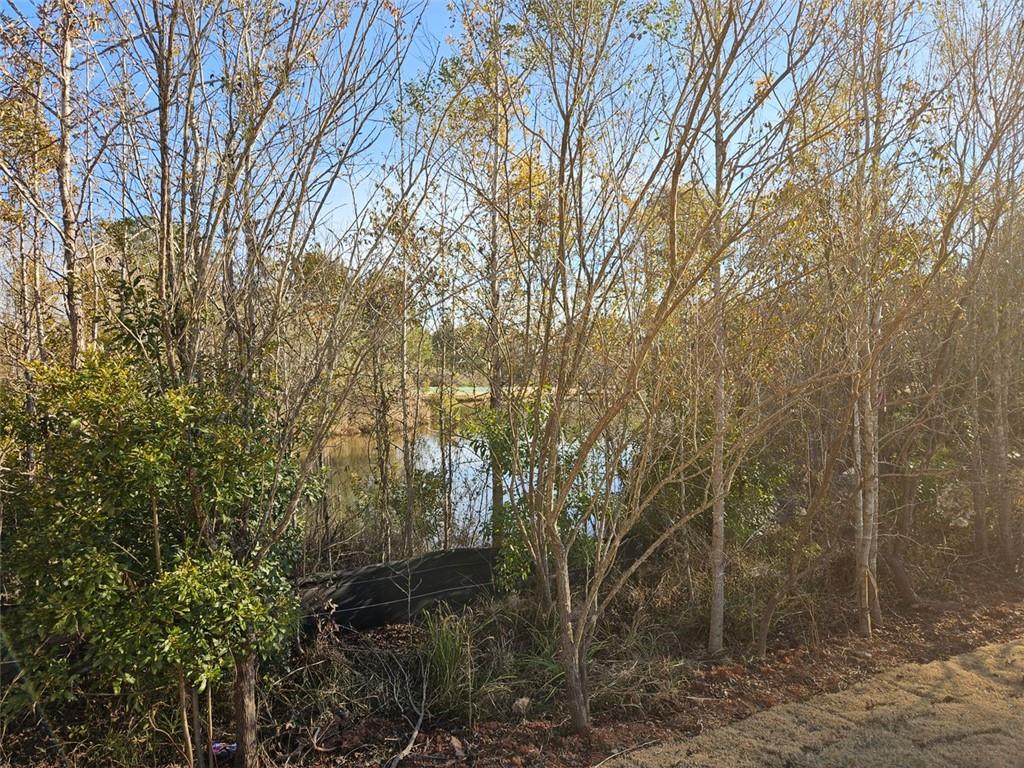 228 Trellis Walk, Macon, Georgia image 3