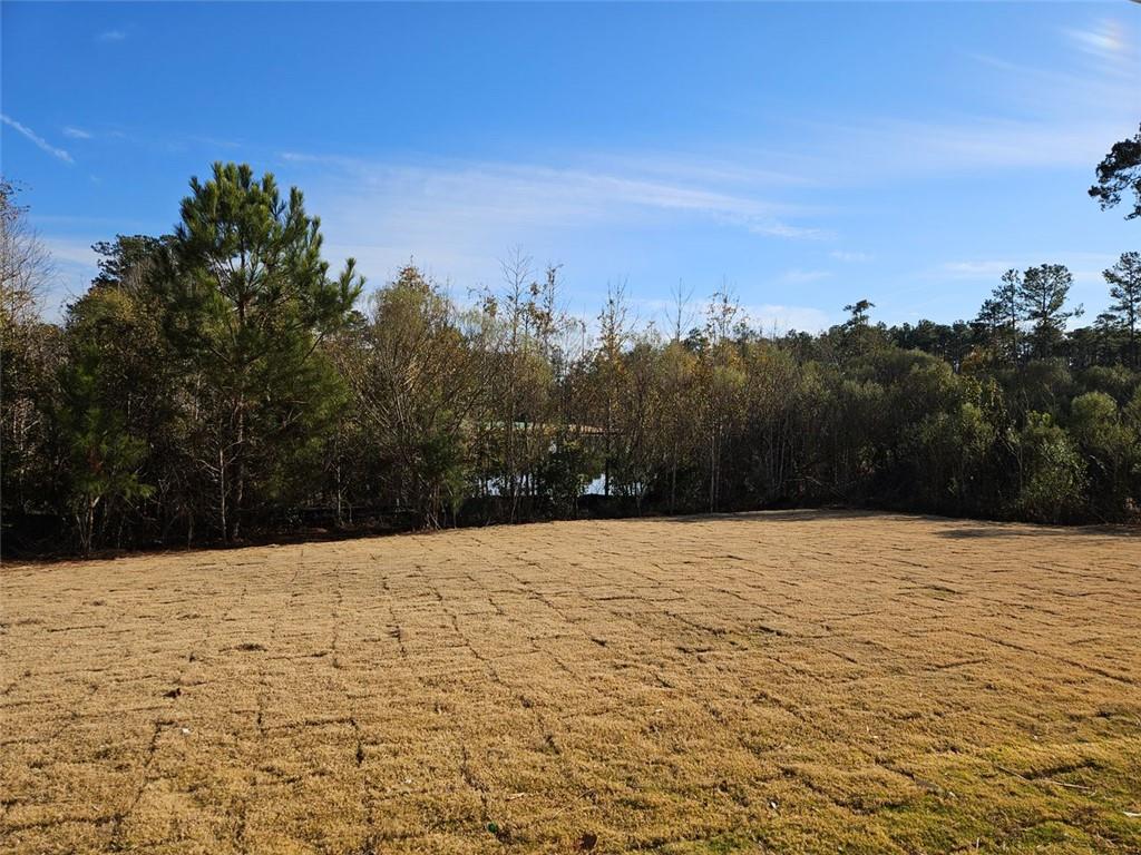 228 Trellis Walk, Macon, Georgia image 2