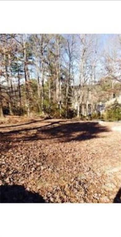 5566 La Fleur Trail, Stonecrest, Georgia image 3