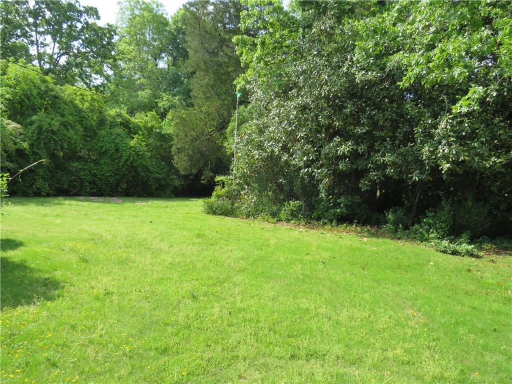 214 Jule Peek Avenue, Cedartown, Georgia image 6