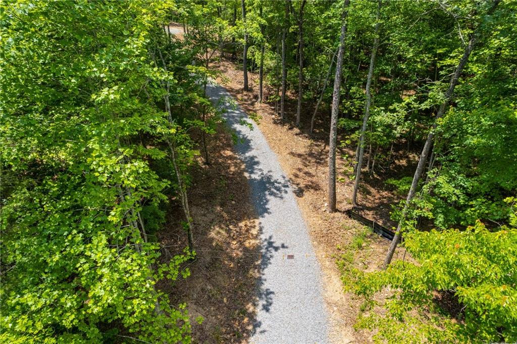 Possum Poke Road, Ellijay, Georgia image 5