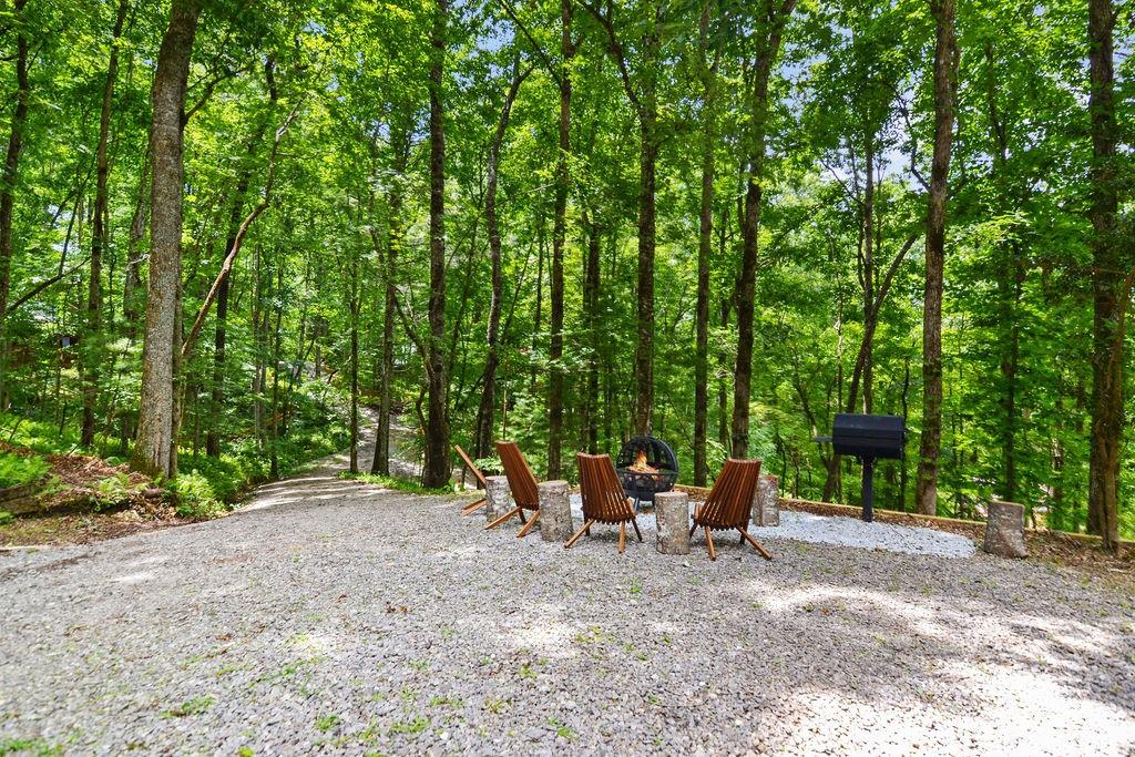 307 Pigeon Creek Road, Blue Ridge, Georgia image 43