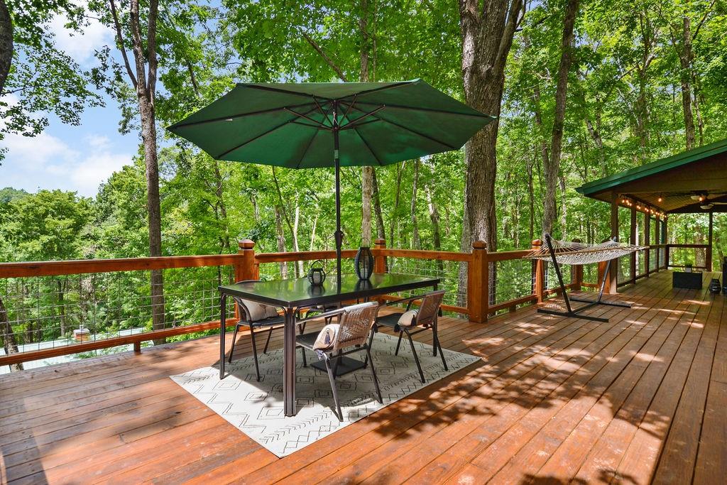 307 Pigeon Creek Road, Blue Ridge, Georgia image 48