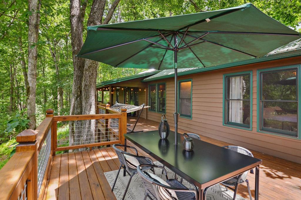 307 Pigeon Creek Road, Blue Ridge, Georgia image 49