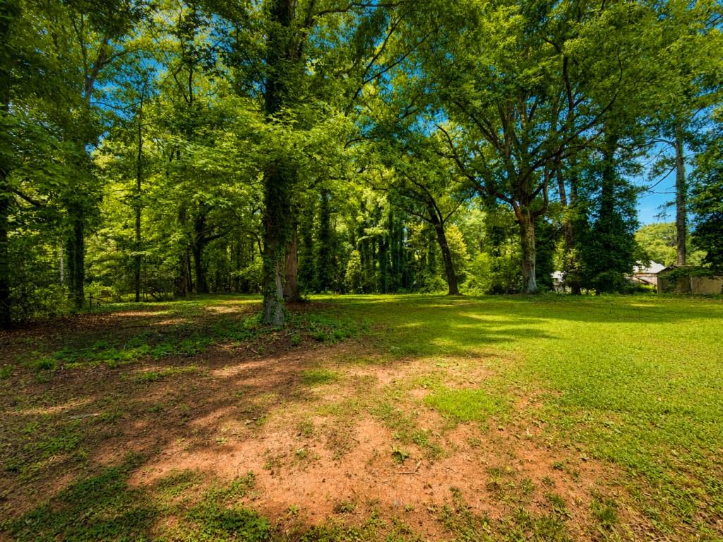 1441 Cahaba Drive
