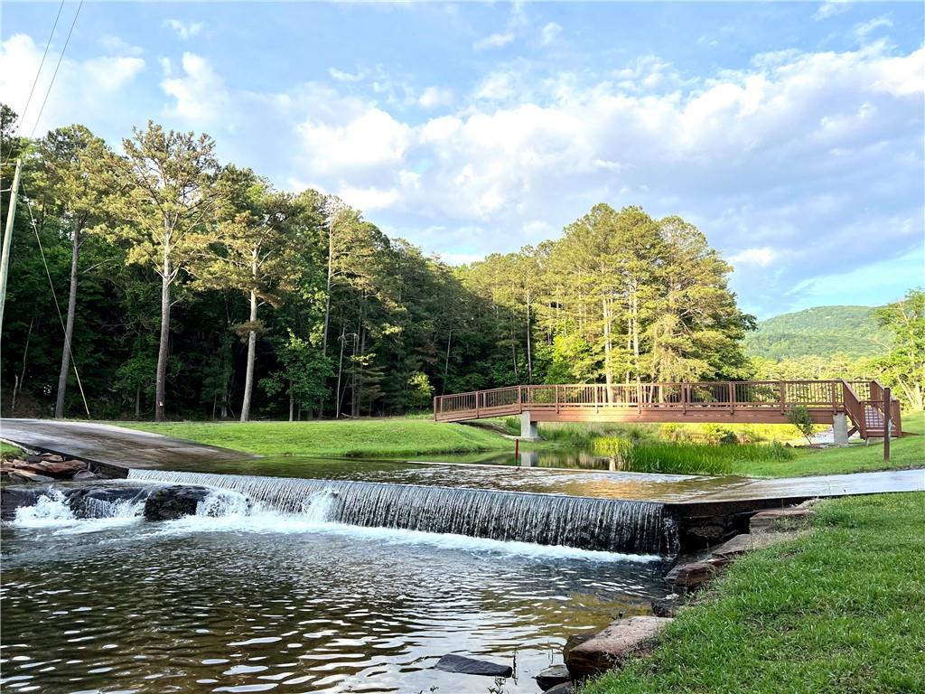 223 Denny Ridge Road, Jasper, Georgia image 50