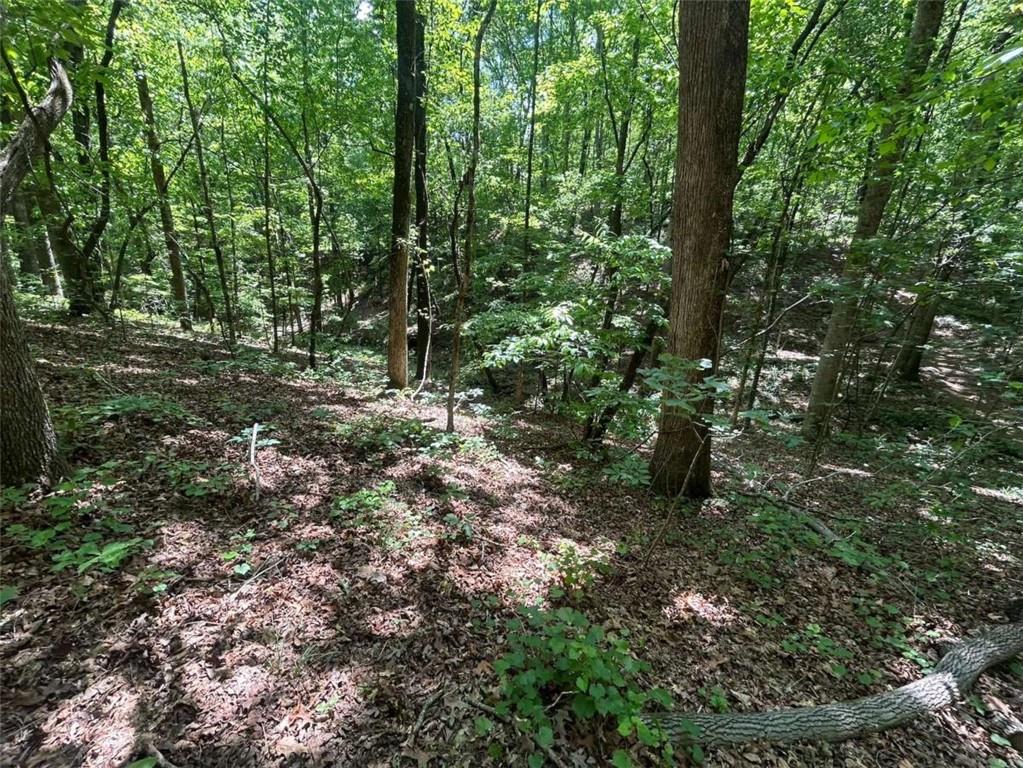 0 Fouts Mill Rd