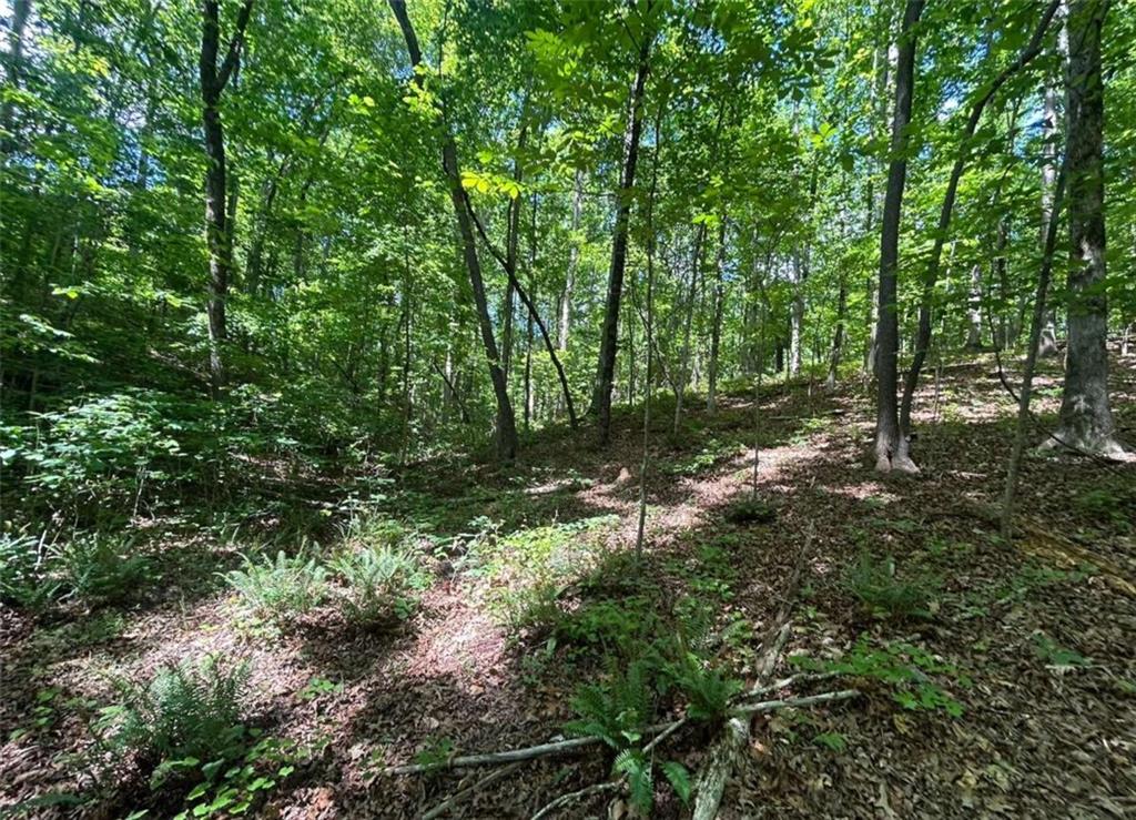 0 Fouts Mill Rd