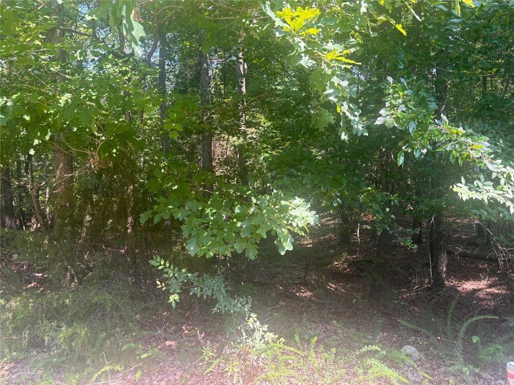 13 Jewell Drive SE