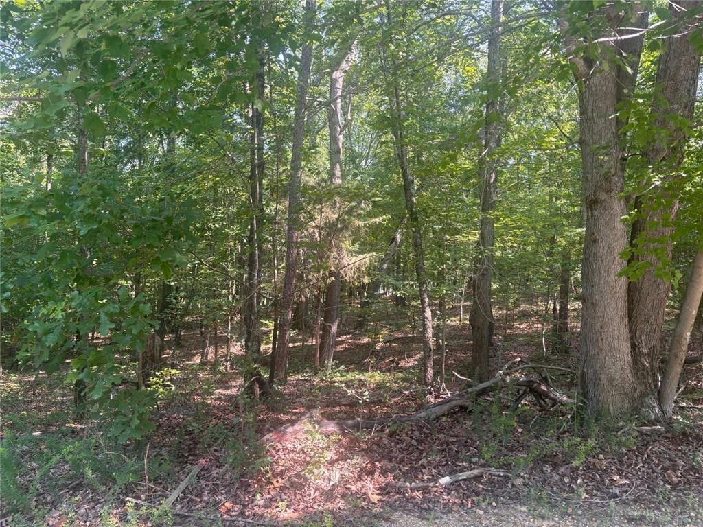 13 Jewell Drive SE