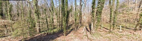 Vacant Land For Sale - 222 Barbara Lane<br/> Mableton, GA 30126