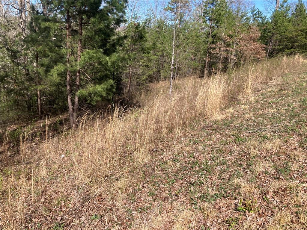 Coras Way Lot 39, Blairsville, Georgia image 4