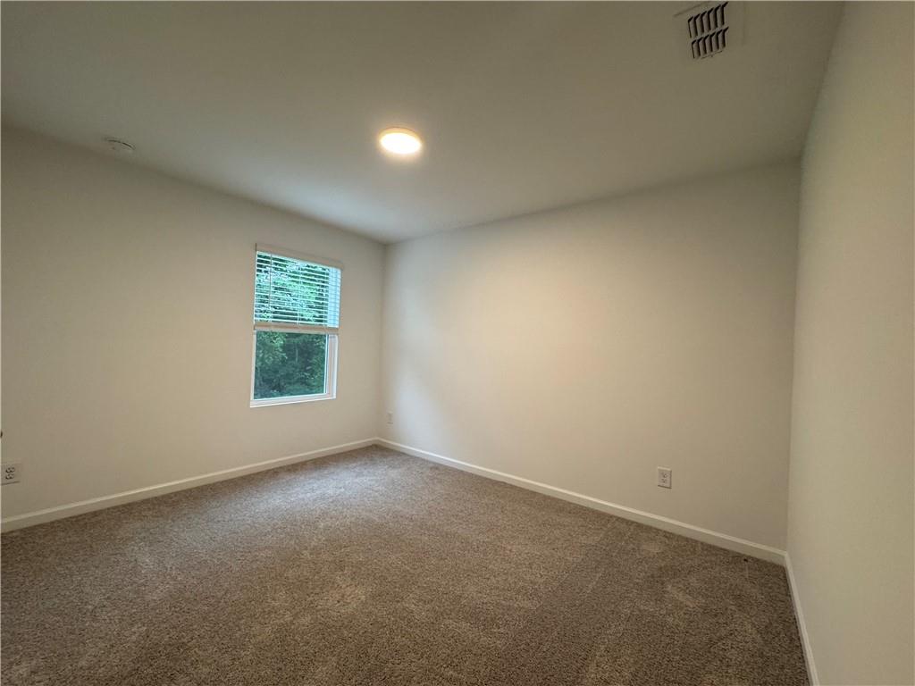 5399 Allegro Lane, Flowery Branch, Georgia image 31