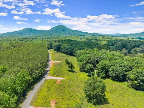 Vacant Land For Sale - Arthur Allen Road<br/> Cleveland, GA 30528