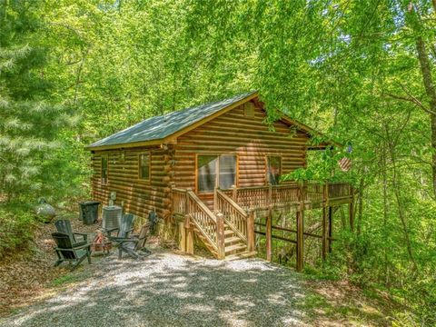 7 Ascherman Court Blue Ridge GA 30513