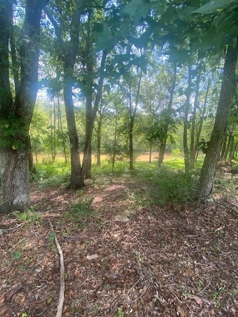 Vacant Land For Sale - 1764 Flatbottom Road<br/> Ball Ground, GA 30107