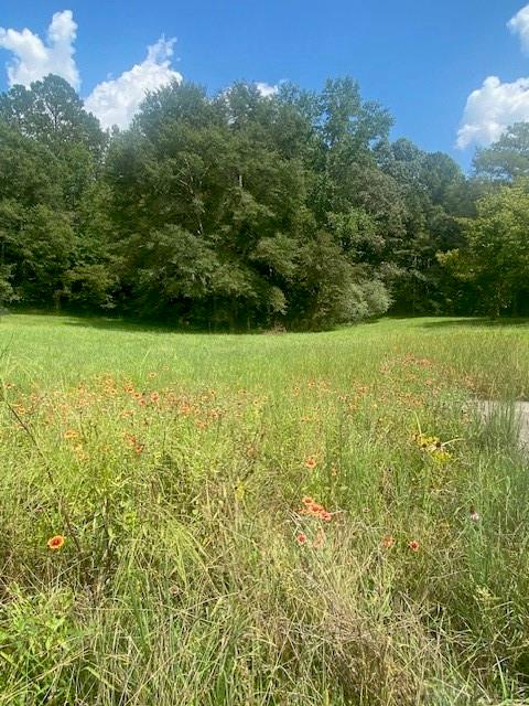 1764 Flatbottom Road