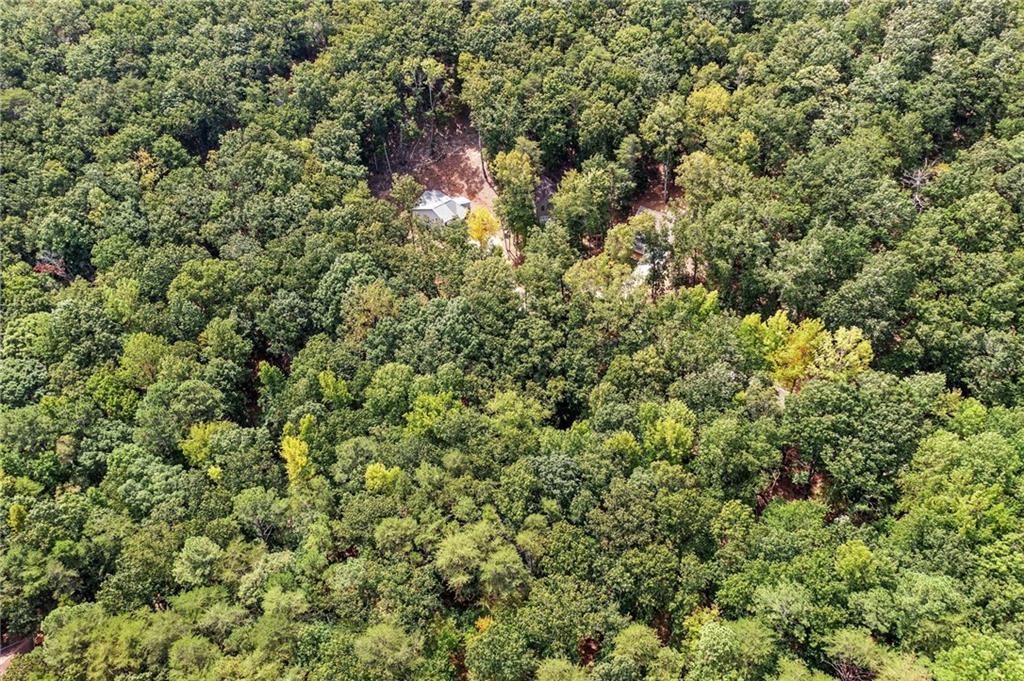 133 Louie Court, Waleska, Georgia image 23