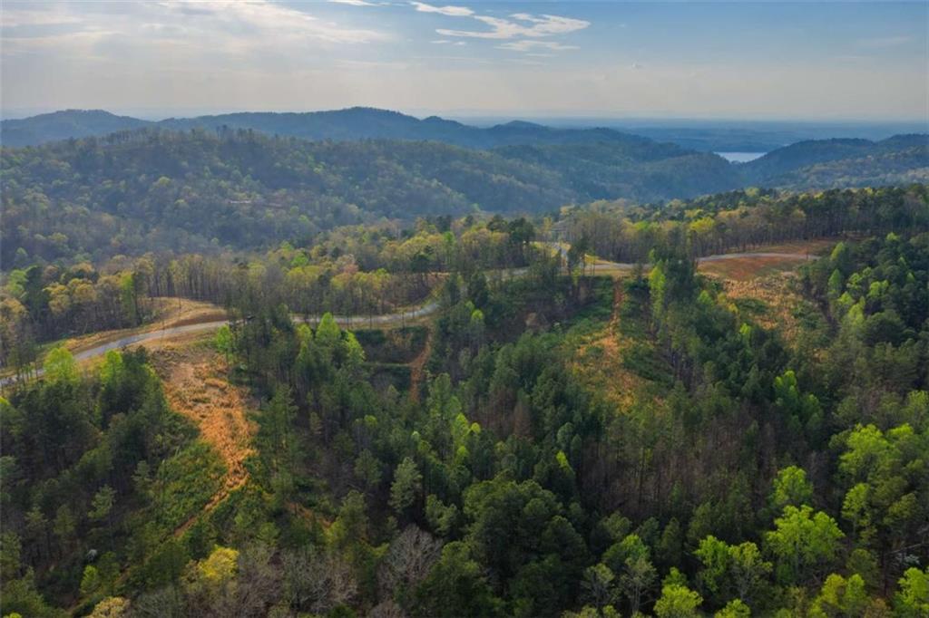 LT 226 West Vista Ridge Parkway