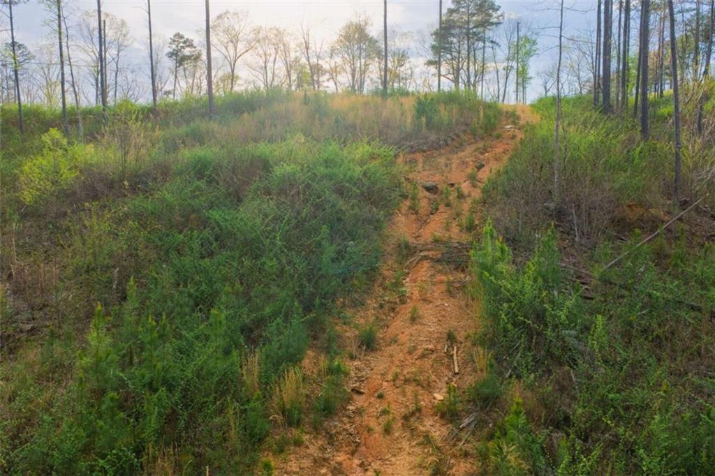 LT 226 West Vista Ridge Parkway