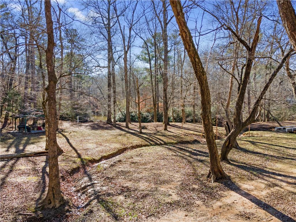 4941 N Helton Road, Winston, Georgia image 38